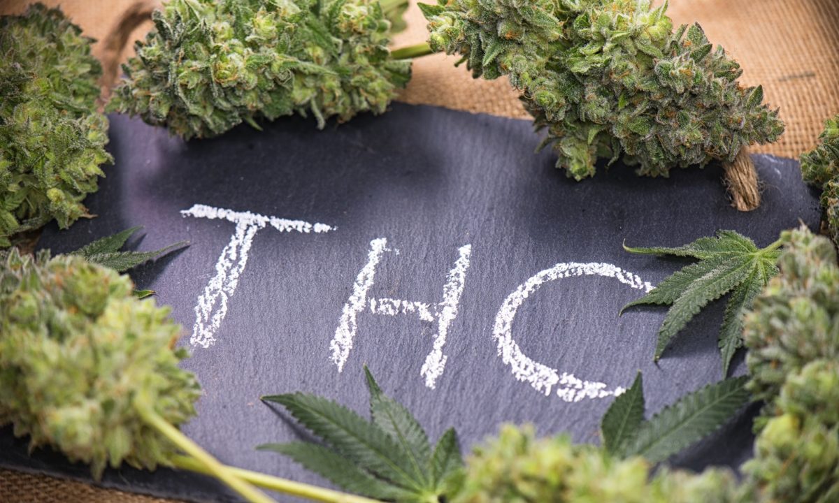 El cannabis medicinal, ¿qué cura?